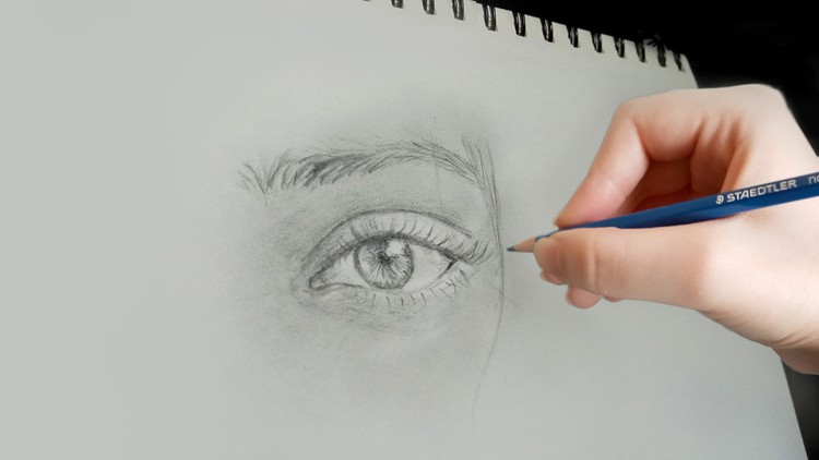 The Best Online Drawing Course : Beginner to Advanced!